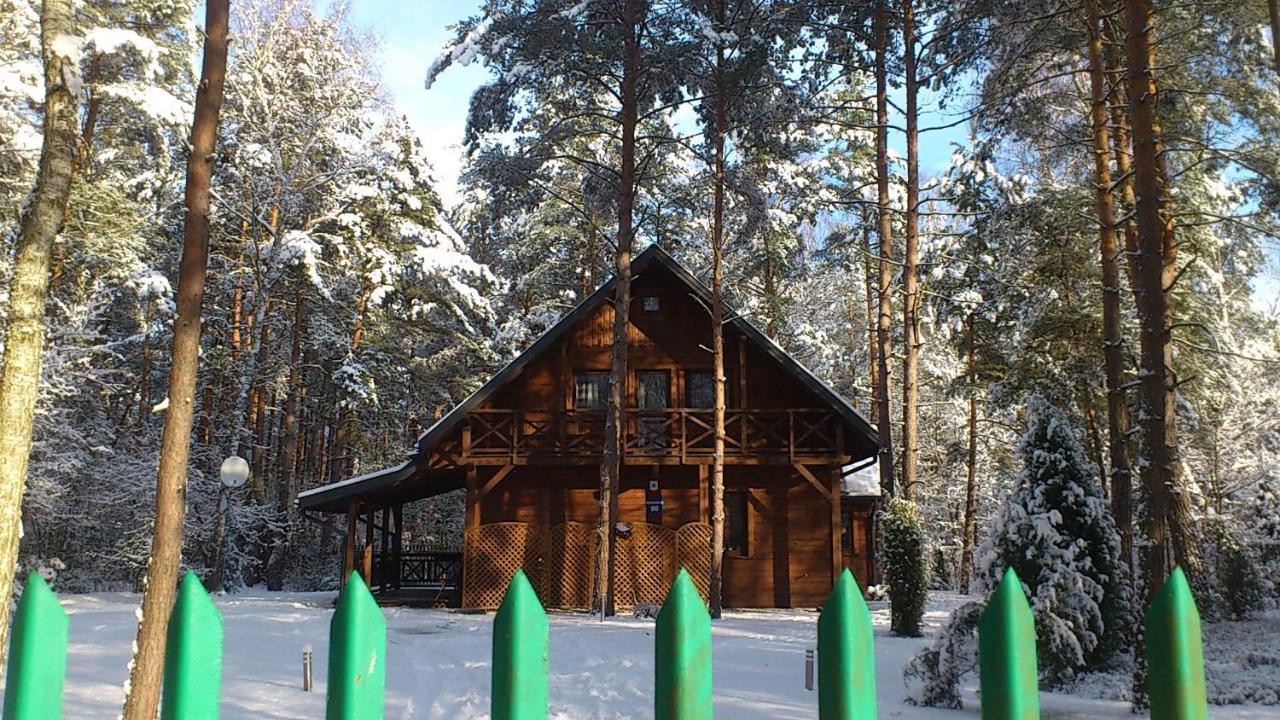 Lesna Ostoja Nad Pilica Villa Lechanice Exterior photo